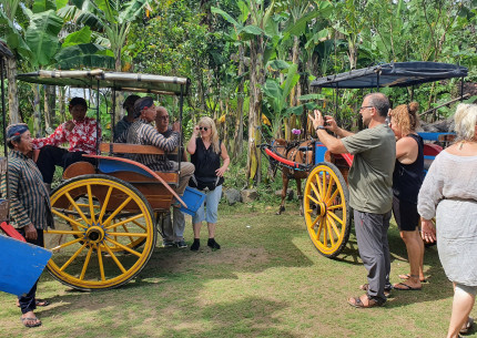 Borobudur Candirejo Horse Cart Tours