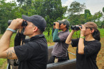 Lampung: Birding Tour to Way Kambas – Way Kanan 4D3N