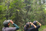 Lampung: Birding Tour to Way Kambas – Way Kanan 4D3N