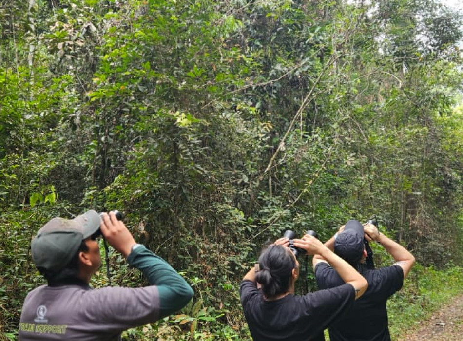 Lampung: Birding Tour to Way Kambas – Way Kanan 4D3N