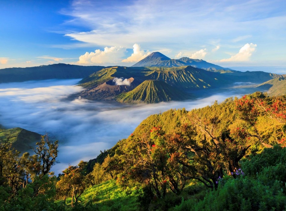 Bromo Sunrise Tour