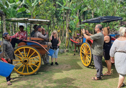 Borobudur Candirejo Horse Cart Tours