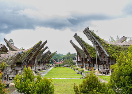 Tana Toraja Tour 4D3N