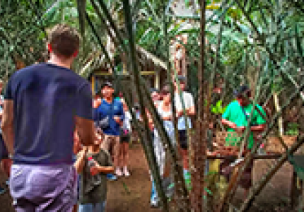 Shared Trip in Bali: Salak Agro Eco Trekking