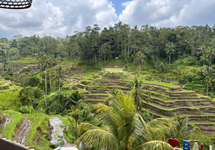 Ubud Village Tour from the Port of Benoa Bali