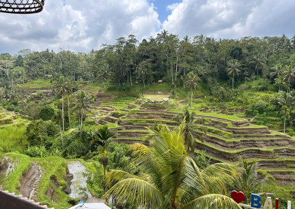 Ubud Village Tour from the Port of Benoa Bali