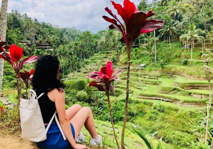 Kintamani Full-day Tour from the Port of Benoa Bali