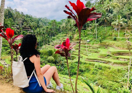 Kintamani Full-day Tour from the Port of Benoa Bali